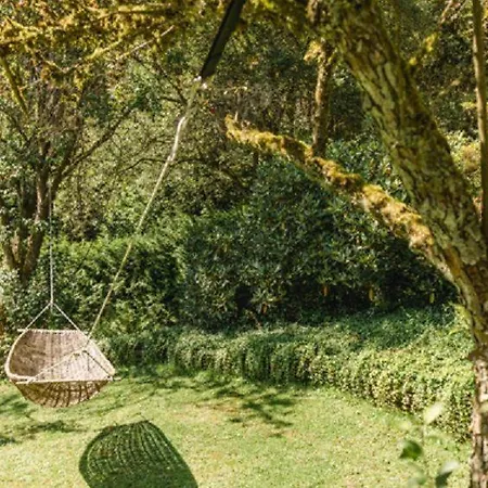 Semesterbostad Haus Felsberg